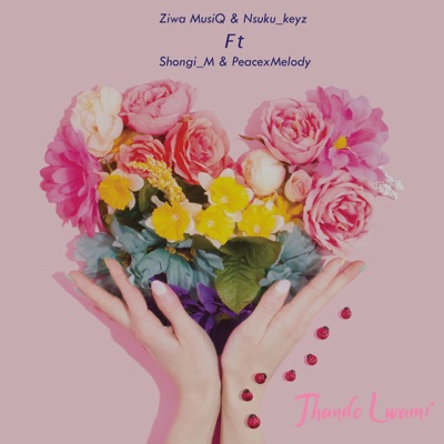 Thando Lwami (Radio Edit) [feat. Shongi_M & PeacexMelody] - Single