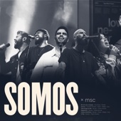 Somos (Ao Vivo) artwork