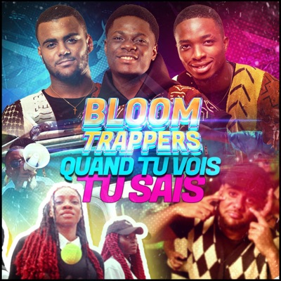 Quand tu vois tu sais - Single