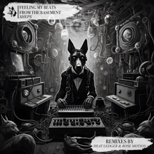 Feeling My Beats From the Basement - Single