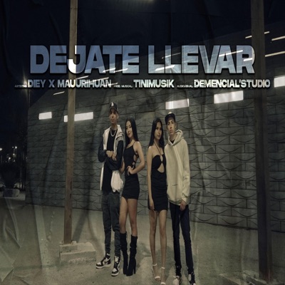 Déjate Llevar (feat. Mauurihuan & Tinimusik) - Single