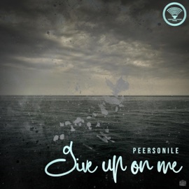 Give Up On Me Peersonile