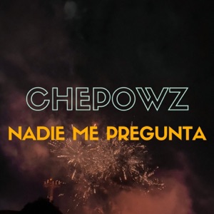 Nadie Me Pregunta