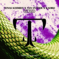 My Pain - Single - Jonas Schmidt, Van Snyder & Kaoru