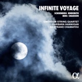 Infinite Voyage artwork