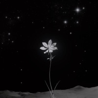 Tape #4 - A.L.I.S.O.N