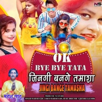 Ok Bye Bye Tata Jingi Bange Tamasha - Single - Mahesh Sahu