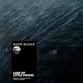 Lure of Little Voices (Inspired by ‘The Outlaw Ocean’ a book by Ian Urbina) - EP artwork