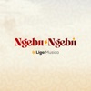 Ngebu Ngebu - Single