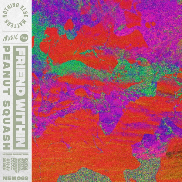 Peanut Squash - Single
