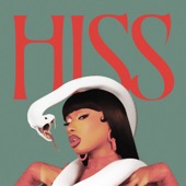 HISS artwork