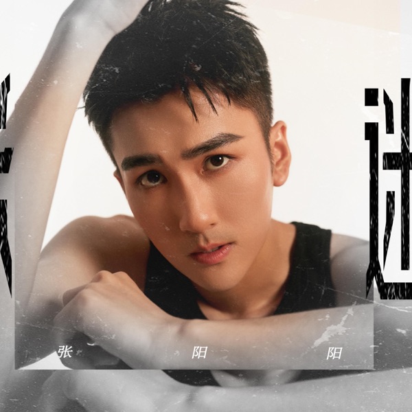 迷 - Single