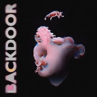 Backdoor - Single - Hoise