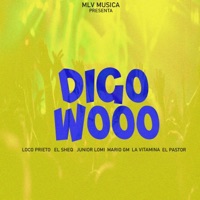 Digo Wooo (feat. El Pastor RD, Loco Prieto Oficial, Junior Lomi, Mario Gm, Hansel El Sheq & La Vitamina) - Single - Moncholo La Vainilla