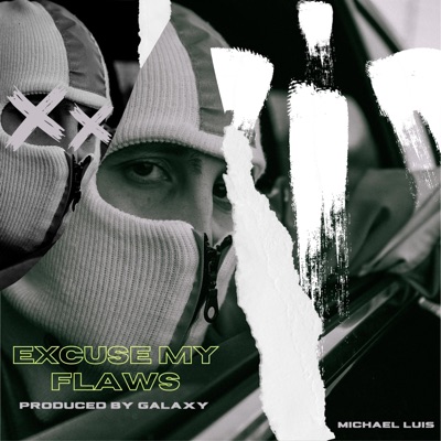 Excuse My Flaws - Single