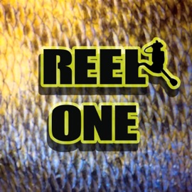 Reel One Hi Speed Chase