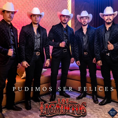 Pudimos Ser Felices - Single
