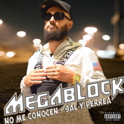 No Me Conocen (Sal y Perrea (Megablock) - Single
