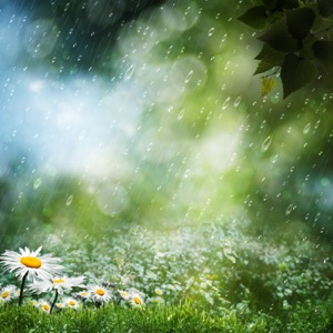 Rain Sounds - EP