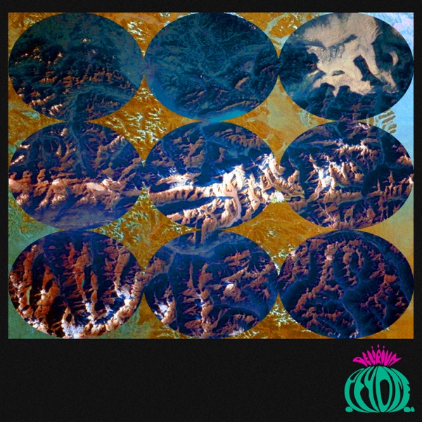Camarón Song - Single