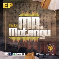 Mr. Matengu - EP - Didz