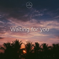 Waiting for You - Single - Dj Infinity