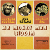 Mr Money Man Riddim - EP