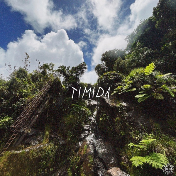 timida - Single