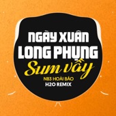 Ngày Xuân Long Phụng Sum Vầy Remix artwork