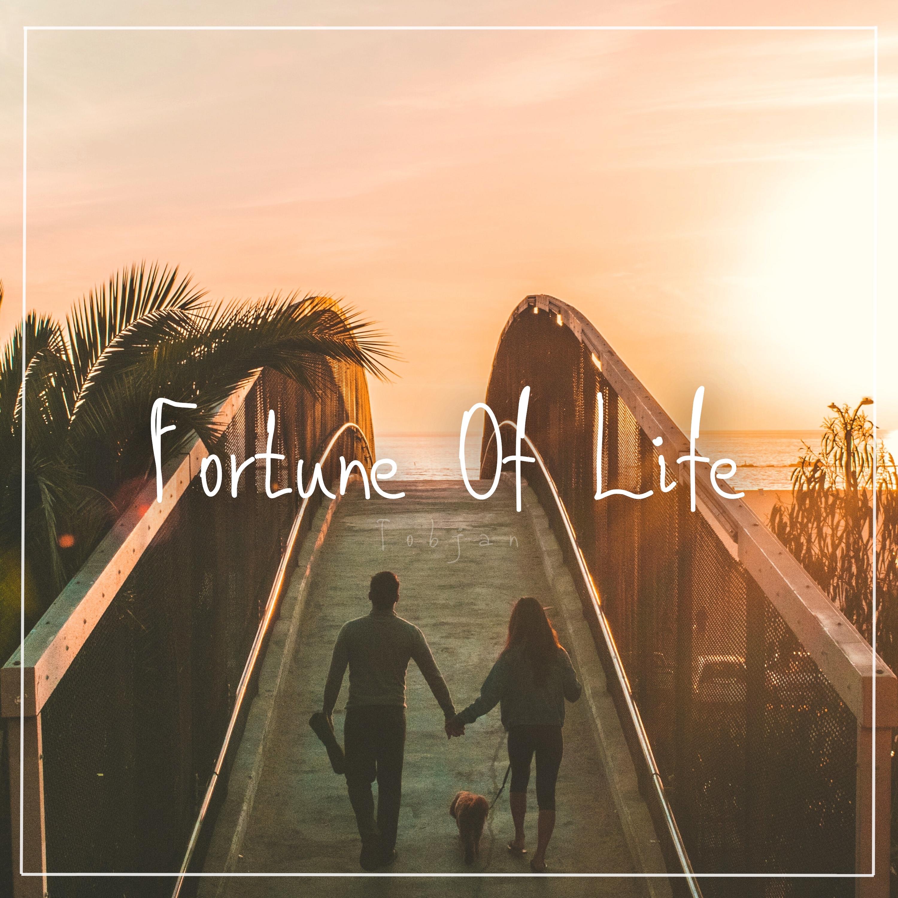 Fortune of Life - Single