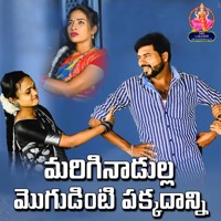 MARIGINADULLA MOGUDIINTI PAKKADHANNI - Single - Laxmi Dasa