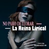 No Paro de Llorar - Single