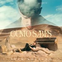 Como Sabes - Single - Fran Rozzano