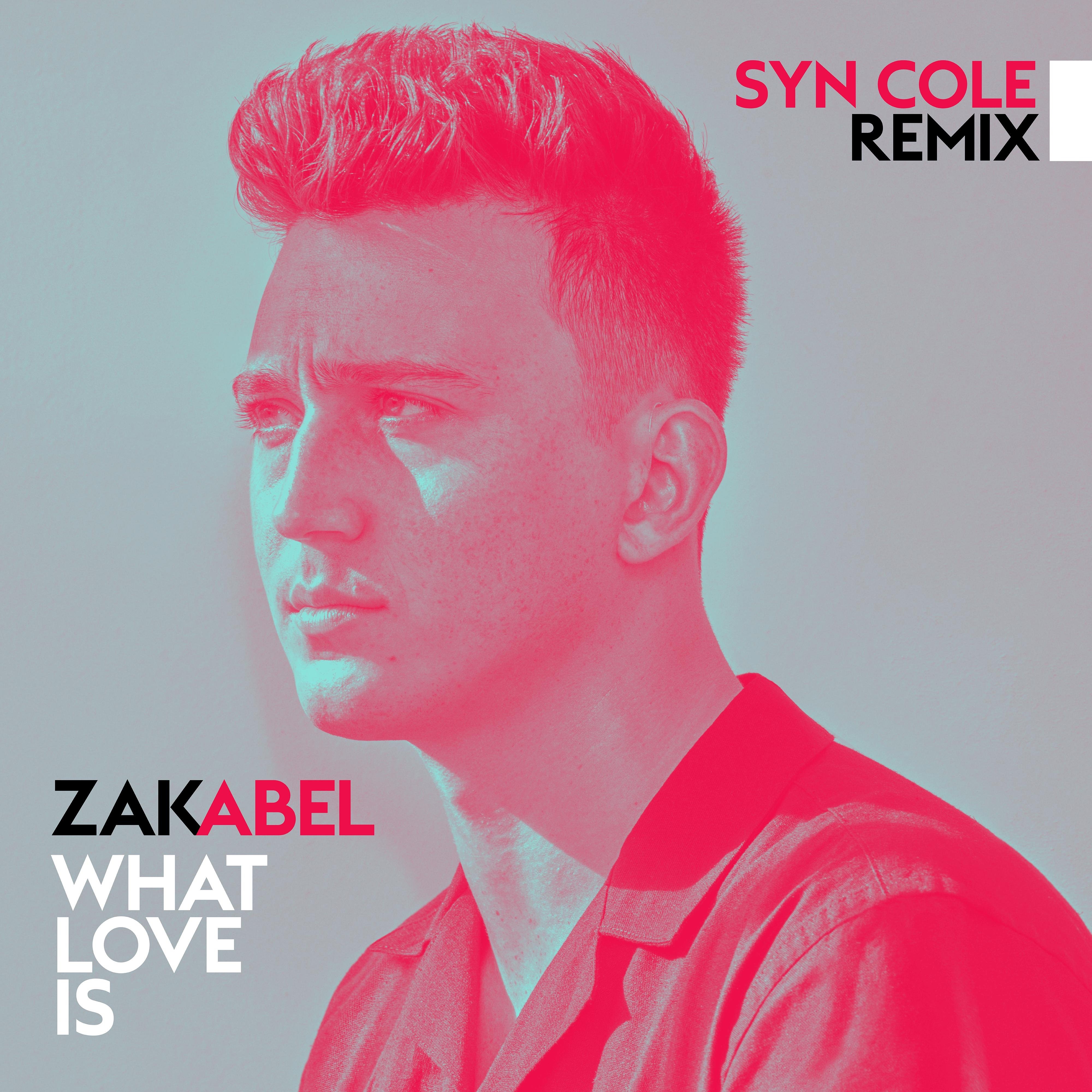 What Love Is (Syn Cole Remix) - Single