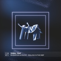 Rolling in the Deep - Single - Pandapush & So-Low
