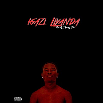 Izinto Zomhlaba - Single