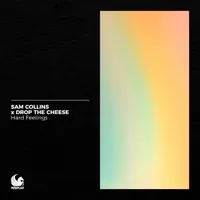 Hard Feelings — Sam Collins