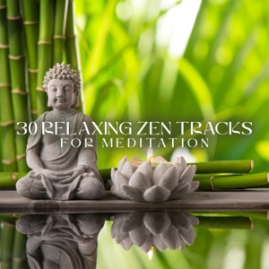 30 Relaxing Zen Tracks for Meditation: Calm Nature Sounds, Asian Spa Music, And Ambient Instrumental Music