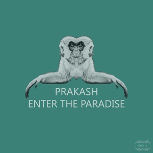 Enter the Paradise - EP