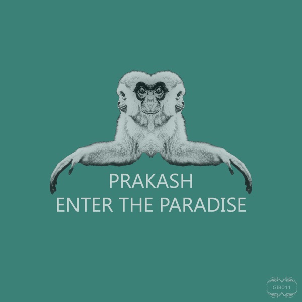 Enter the Paradise - EP