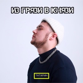 ИЗ ГРЯЗИ В КНЯЗИ ТАТАРИН