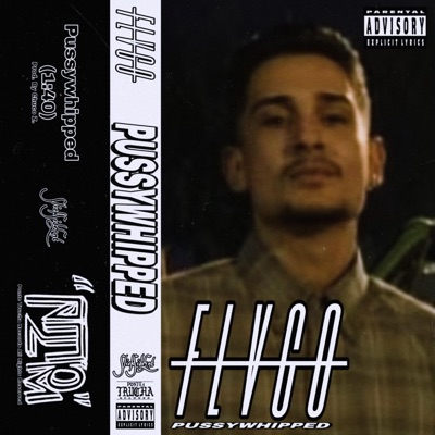 Pussywhipped - Single