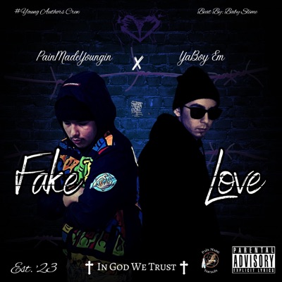 Fake Love (feat. PainMadeYoungin) - Single