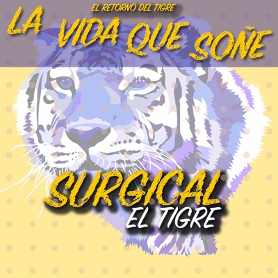 La Vida Que Soñe - Single