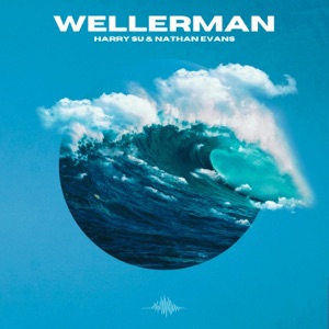 Wellerman (feat. Nathan Evans) [Orchestral Version] - Single