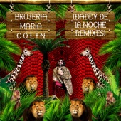 Brujería María (Daddy De La Noche Remix) artwork