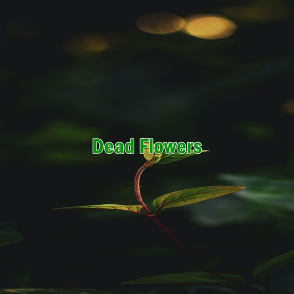 Dead Flowers (Instrumental)