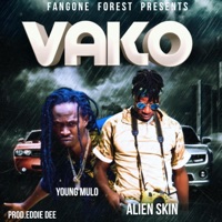 Vako (feat. Young Mulo) - Single - Alien Skin Official
