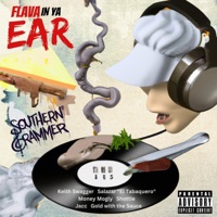 Flava In Ya Ear - Single - Southern Grammer