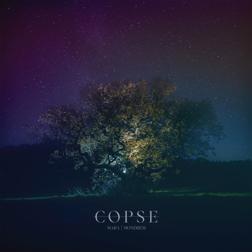 Album artwork